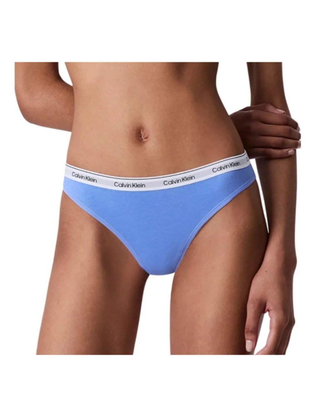 Calvin Klein Modern Logo Bikini Underwear Glacier Size XS NWT
